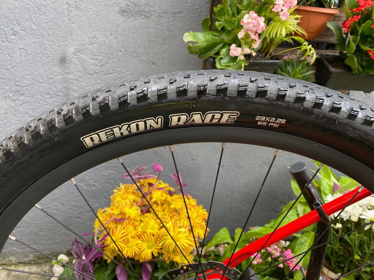 Scott Scale 970 2025 Sram 12v - Foto 5