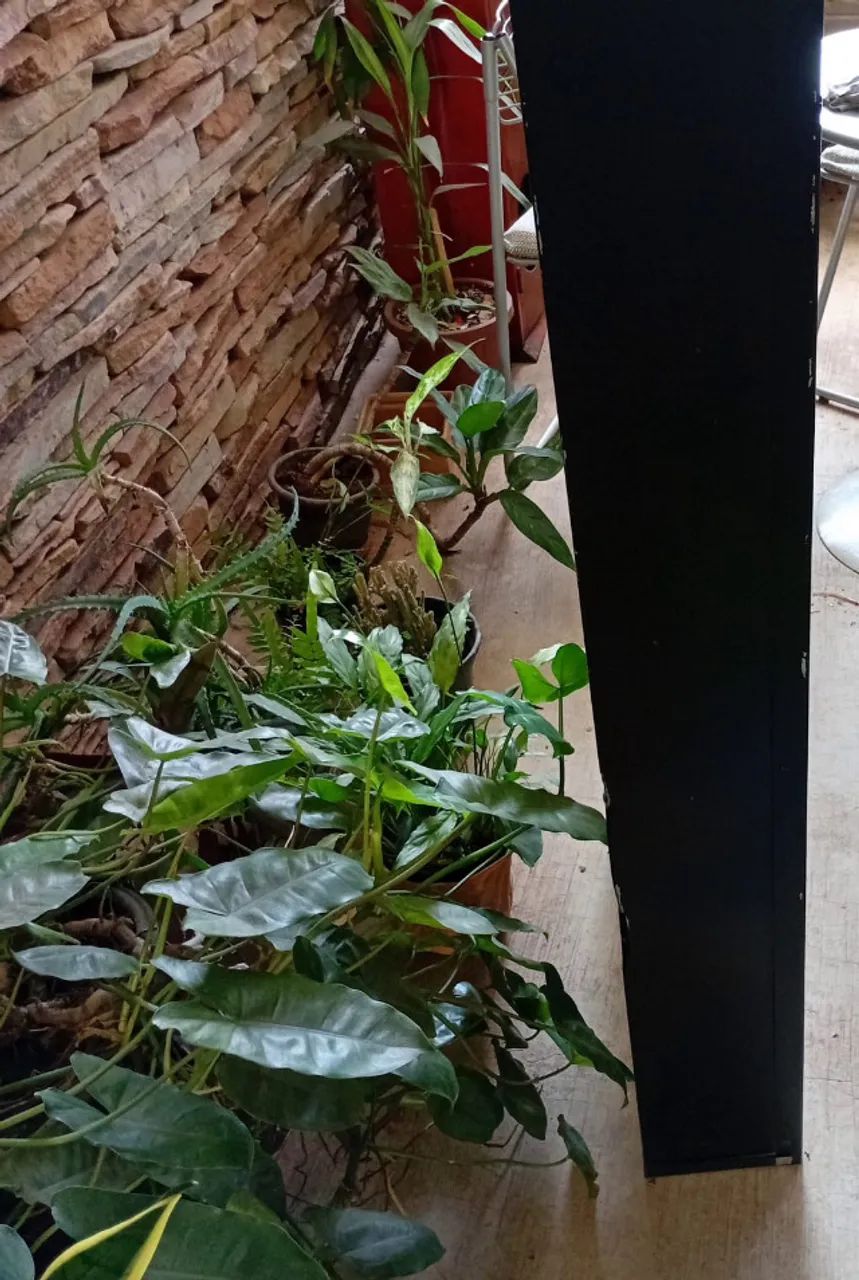Placa externa - Foto 2