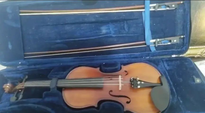 Violino Eagle e Flauta transversal 