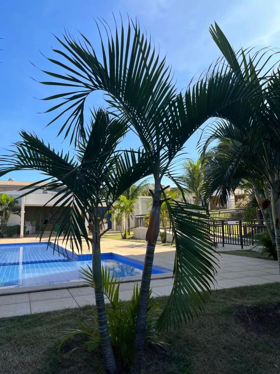 Apartamento para venda com 102 metros quadrados com 3 quartos Edifício Green Hill - Cuiabá - Foto 3