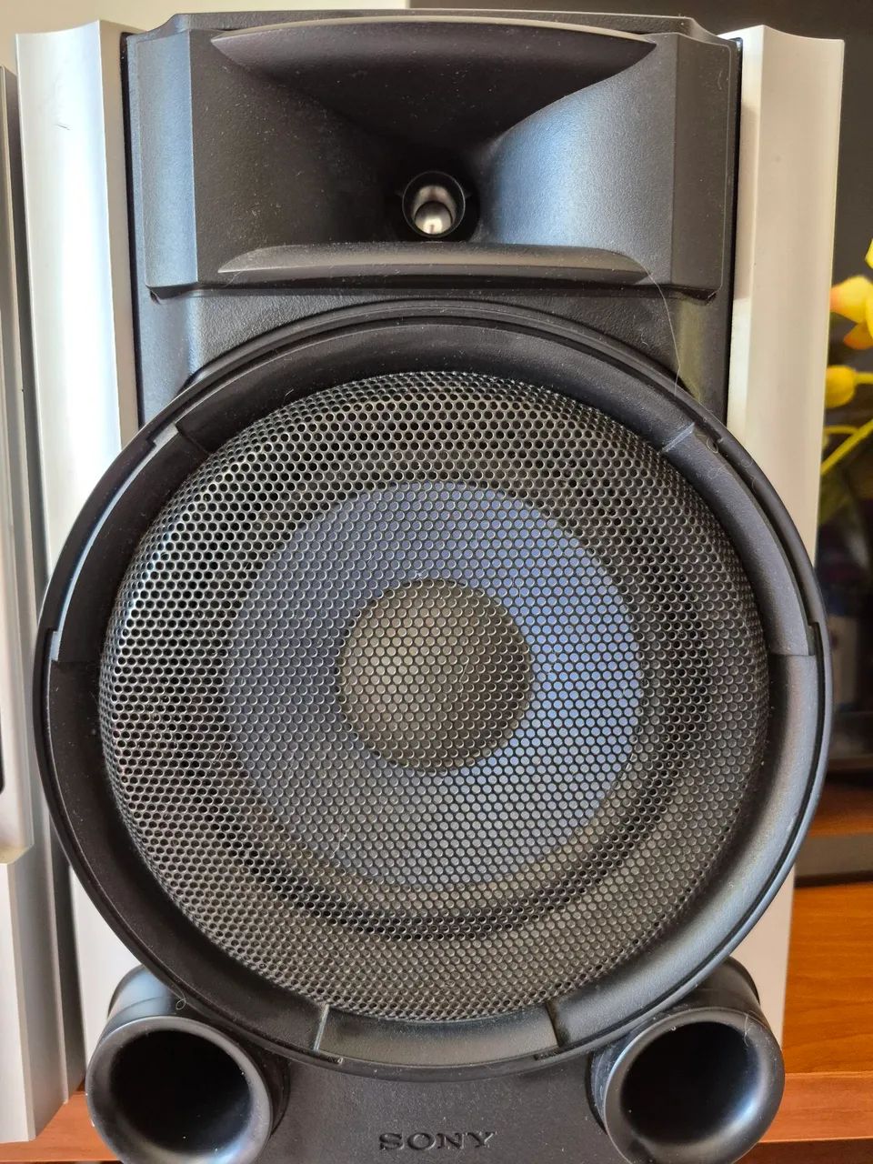 Microsystem Sony