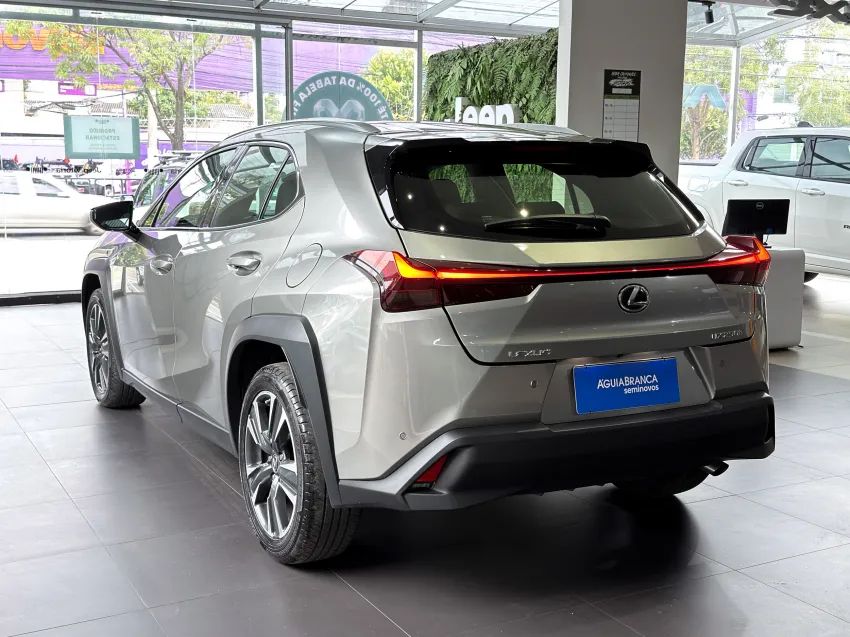 Lexus UX-250h Dynamic 2.0 16V Aut.(hybrid), foto 7 de 19