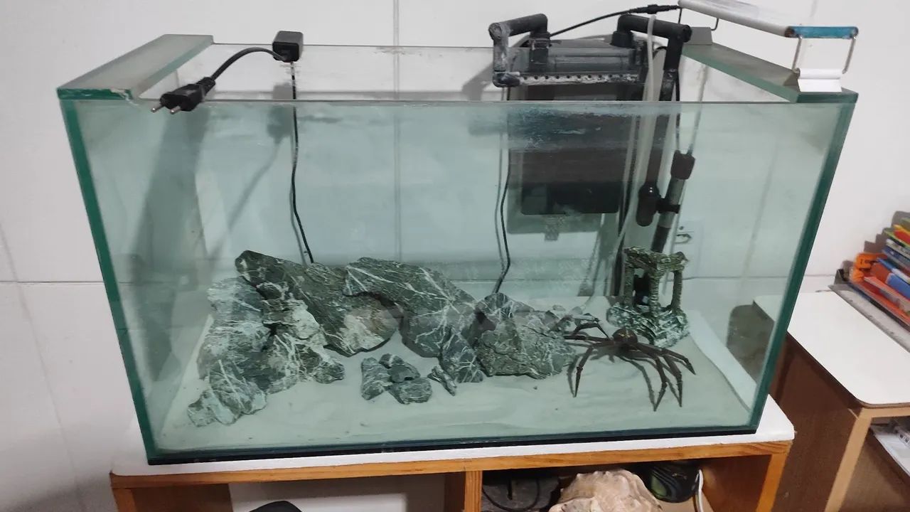 Aquário peixe - Foto 2
