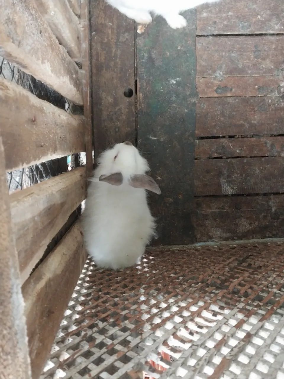 Vendo - Foto 2