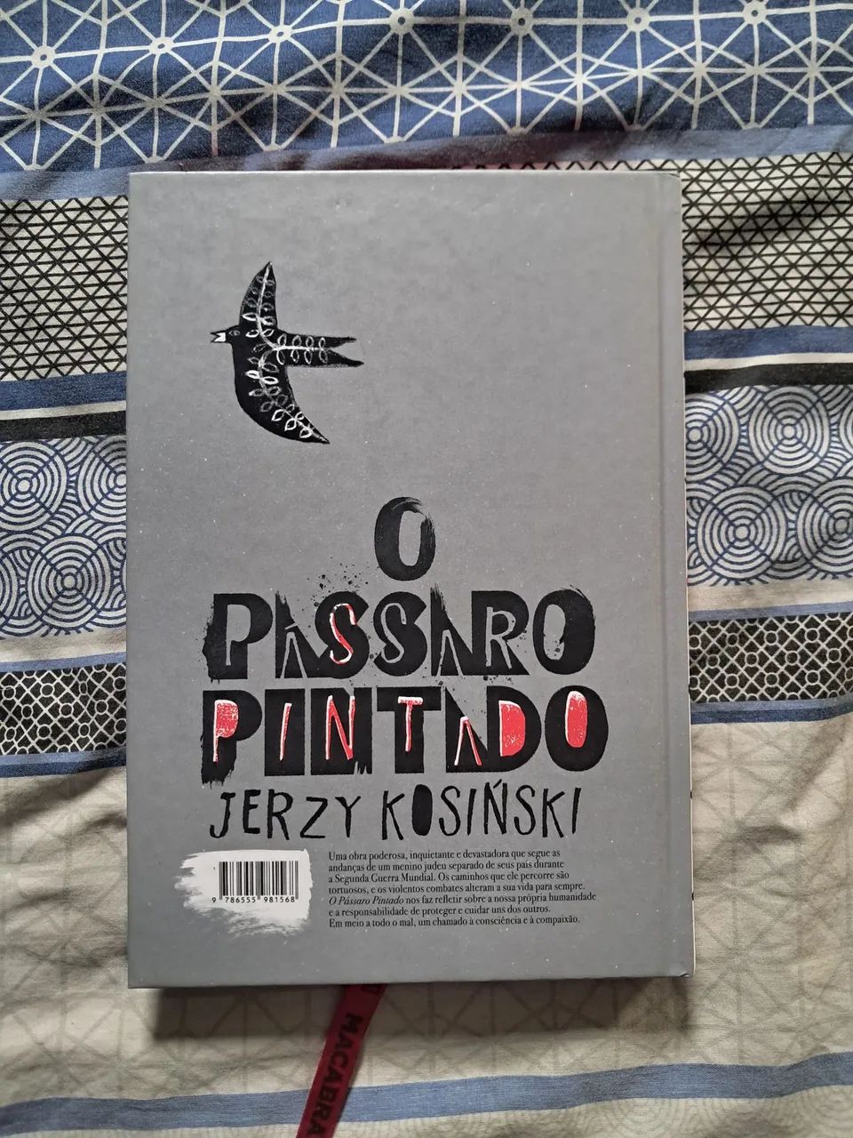 O Pássaro Pintado  - Foto 2