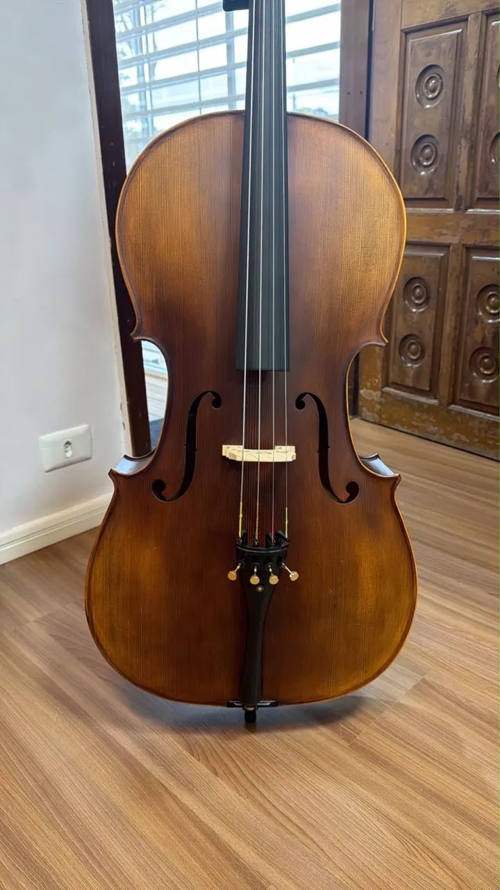 Violoncello Eagle CE 310 