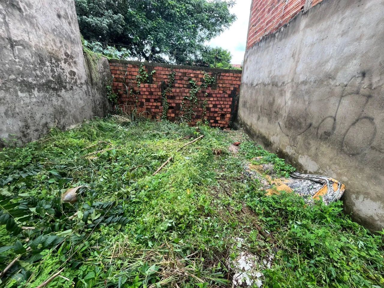 Terreno São Luis 