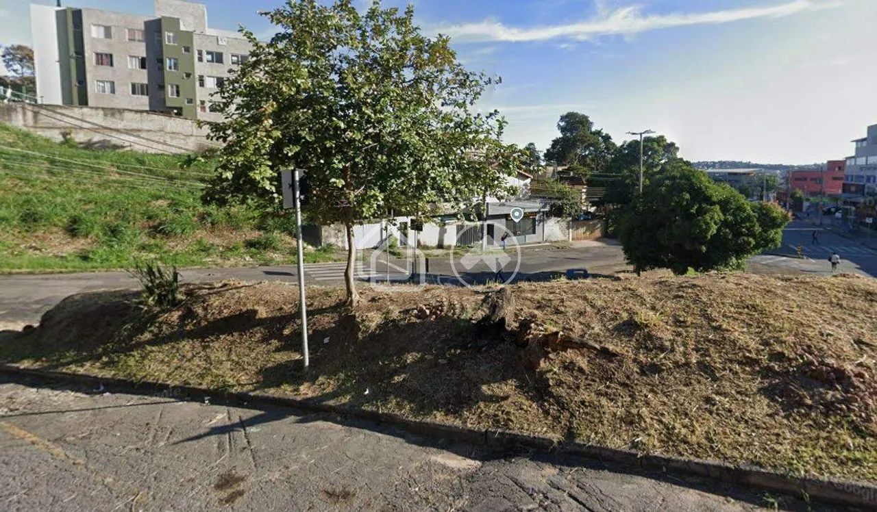 Lote para alugar no bairro Palmeiras - Foto 4