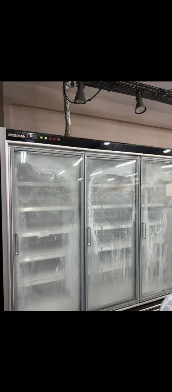 Expositor de congelados é bebidas.