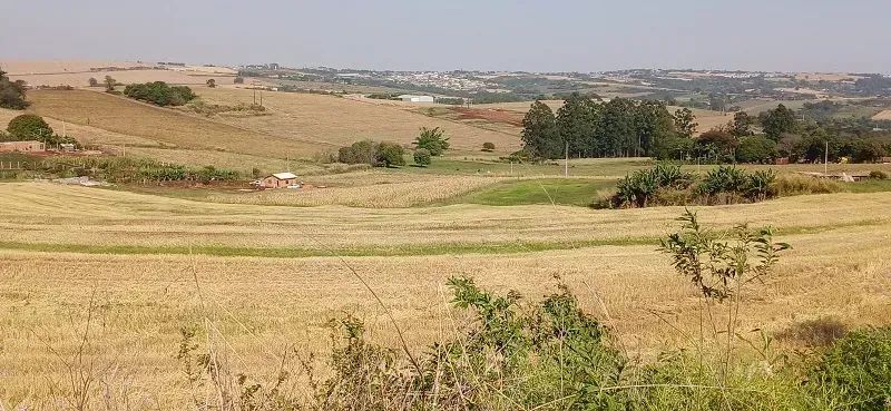 TERRA ROXA - Área Rural 4 Alqueires