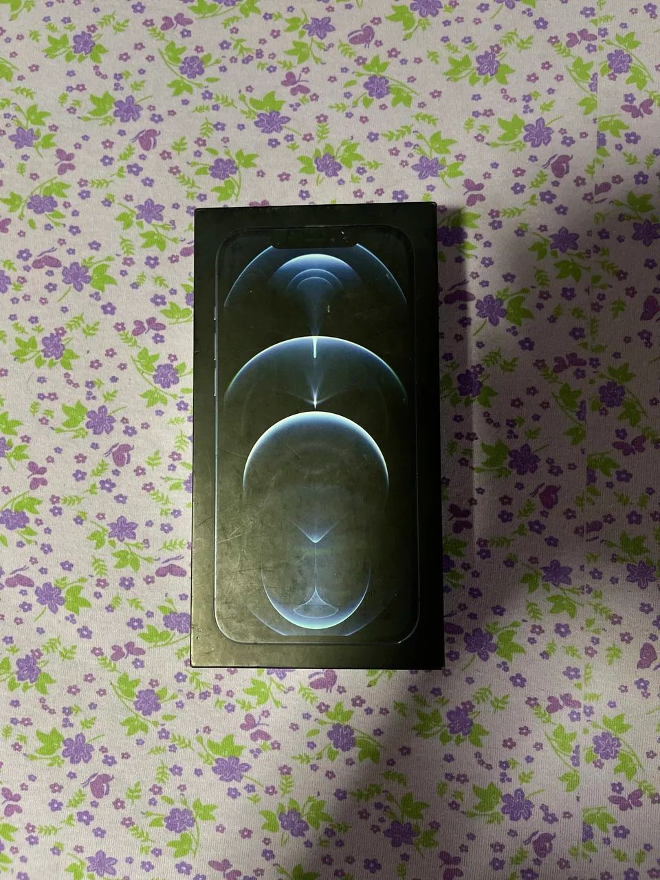 iPhone 12 Pro Max