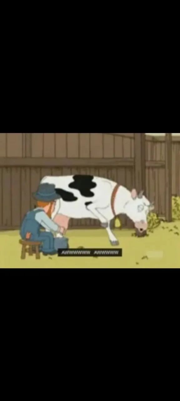 Teite de vaca puro 