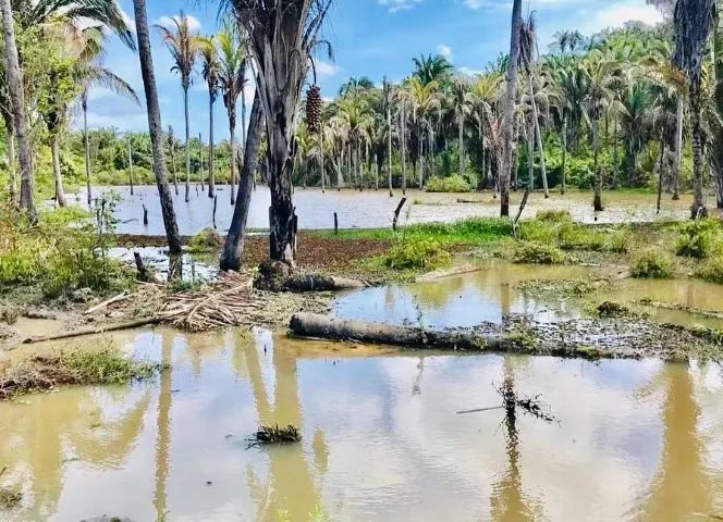 FAZENDA EM  VARGEM GRANDE - Foto 5
