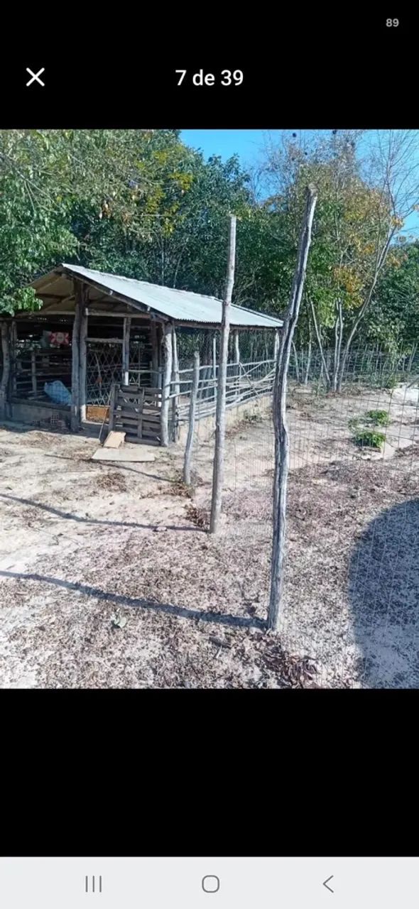  VENDO SÍTIO PRÓXIMO A TERESINA  - Foto 5