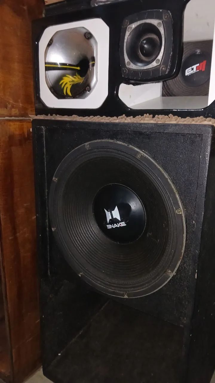 Uma caixa de som com um alto falante snake de 15 polegadas de 450 rms + um box  twitter me