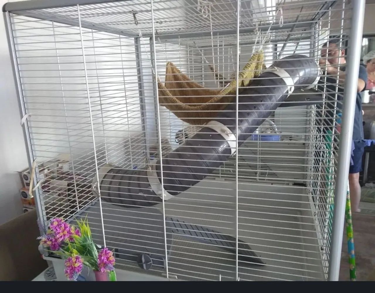 Gaiola para animais ou Furão Ferret