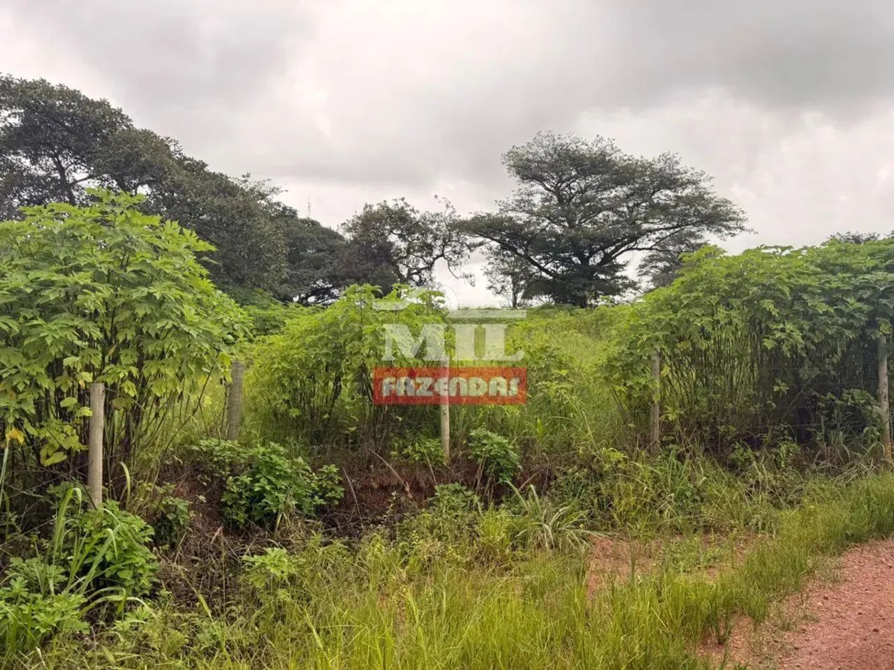 Área comercial 20.411M² - Br 153 Anápolis/Goiânia - Go - Foto 5