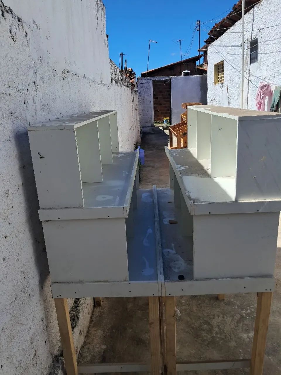 FRUTARIA COMPLETA  - Foto 3
