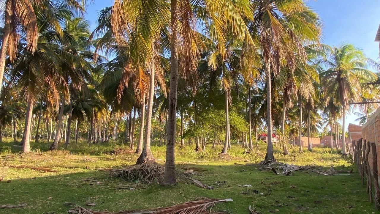 Lotes à venda na beira do Rio. - Foto 5