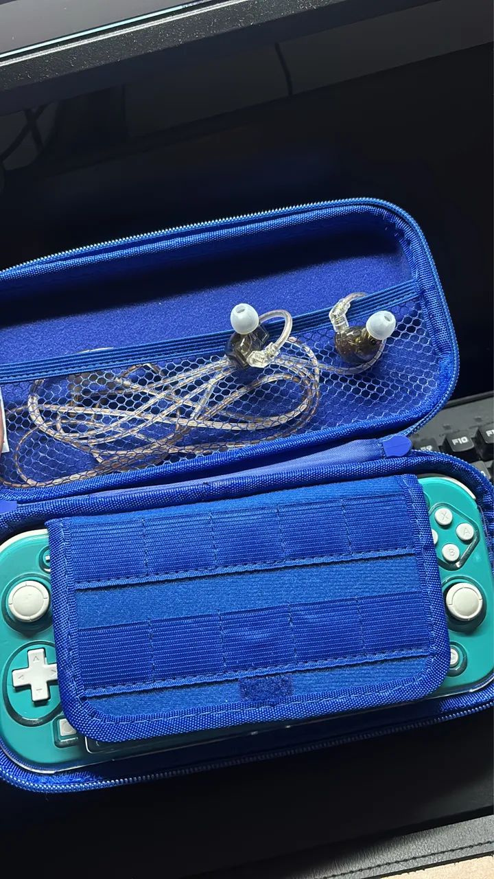 Switch lite 