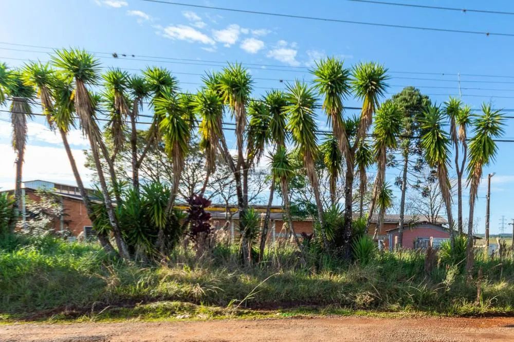 Comercial Barracão em Ponta Grossa - Foto 5