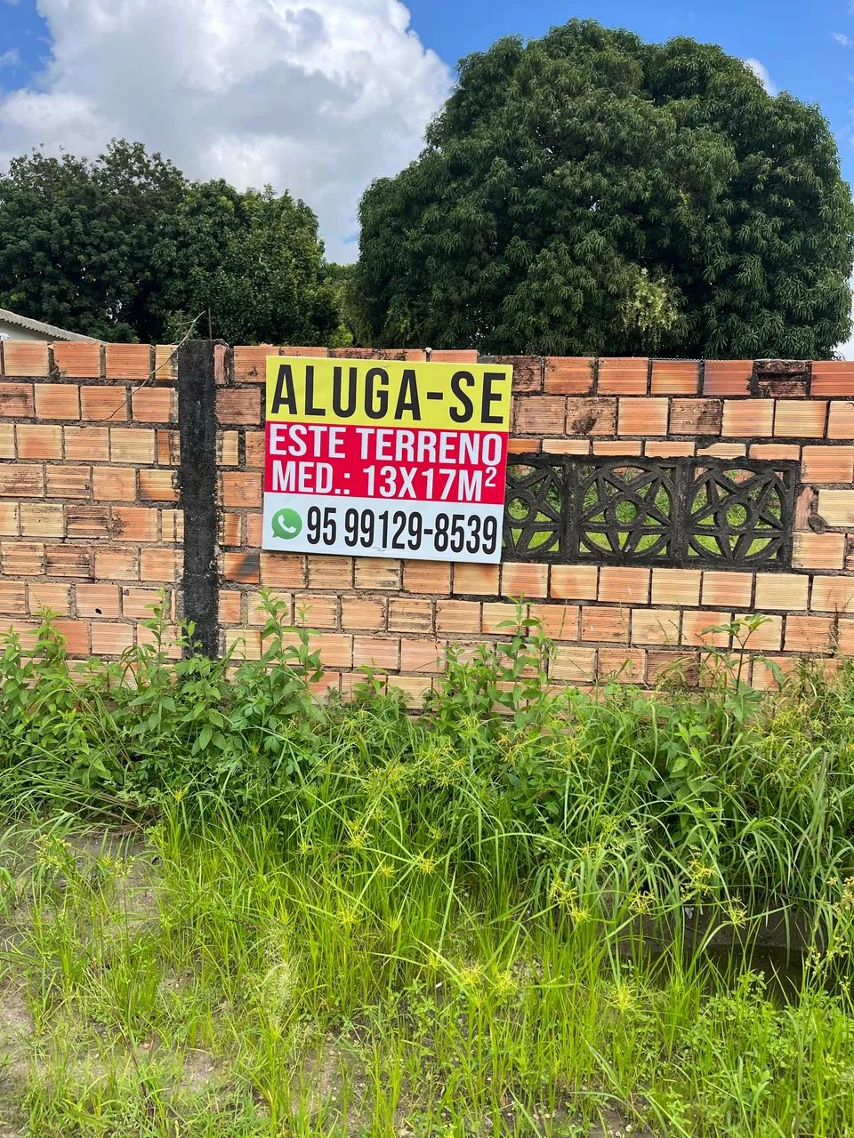 Terreno para aluguel
