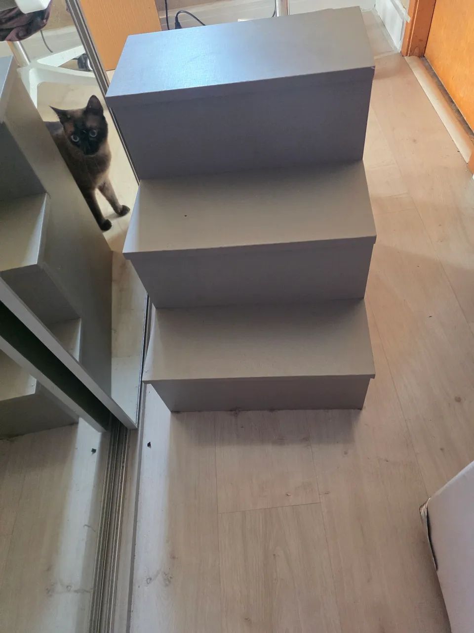 Escada pet