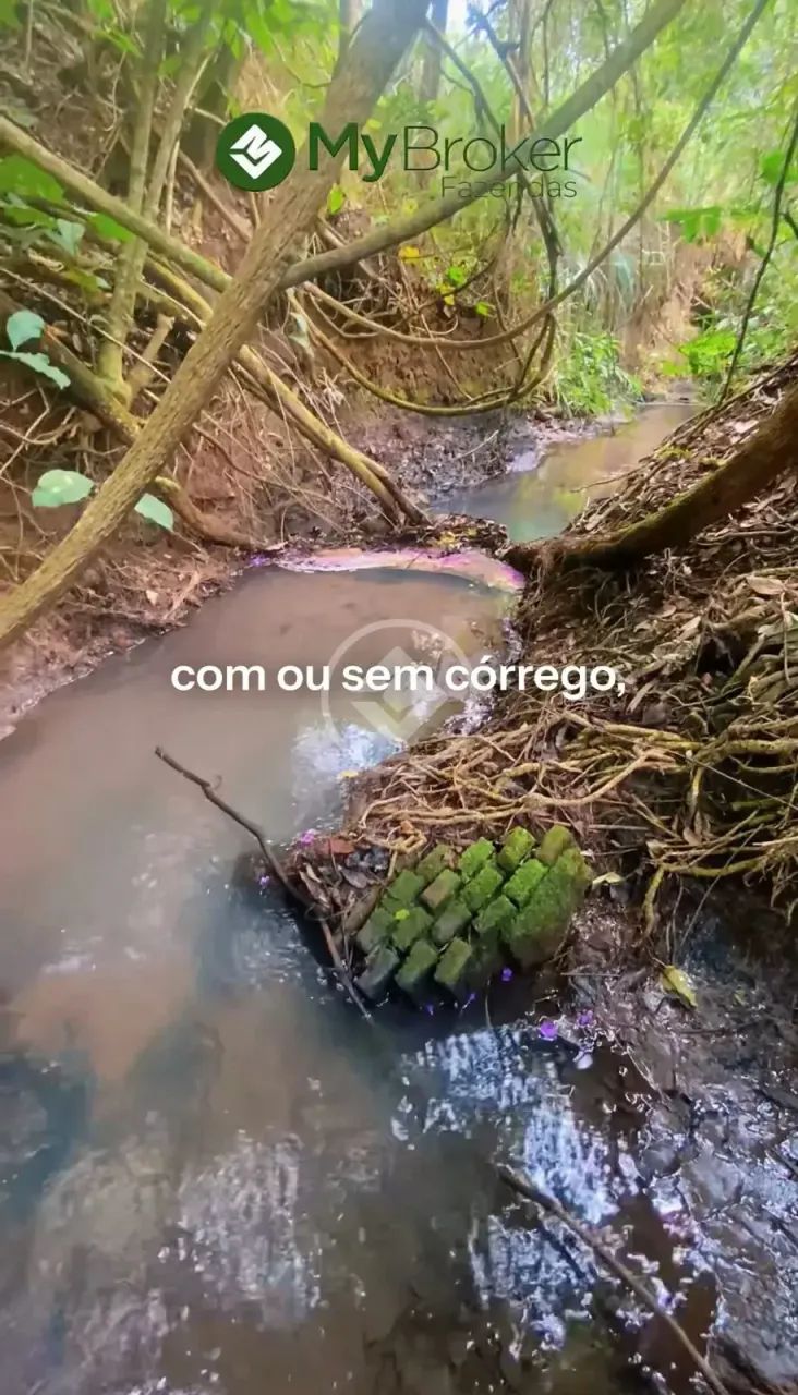 Hidrolândia - Chácara à venda  Triângulo 03 codigo: 289354 - Foto 4