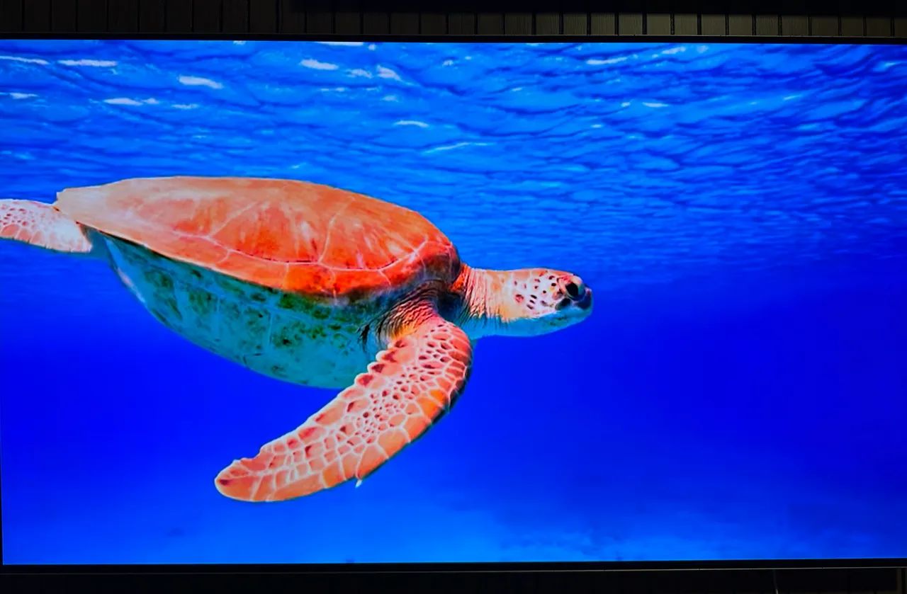 Smart tv OLED LG 55 polegadas  - Foto 2