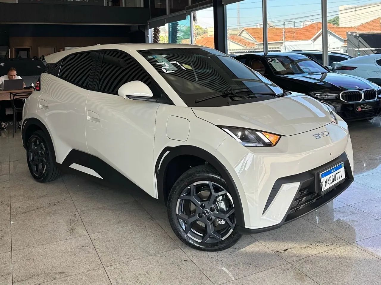 BYD Dolphin Mini (Elétrico) 2027 - Foto 3