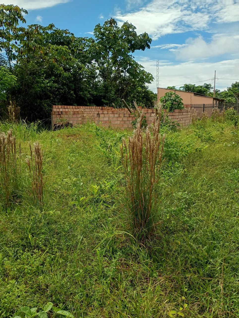 Terreno com início casa - Foto 5