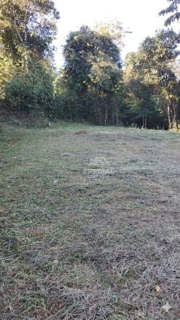 Raridade do Pontal das Garças: - Foto 2