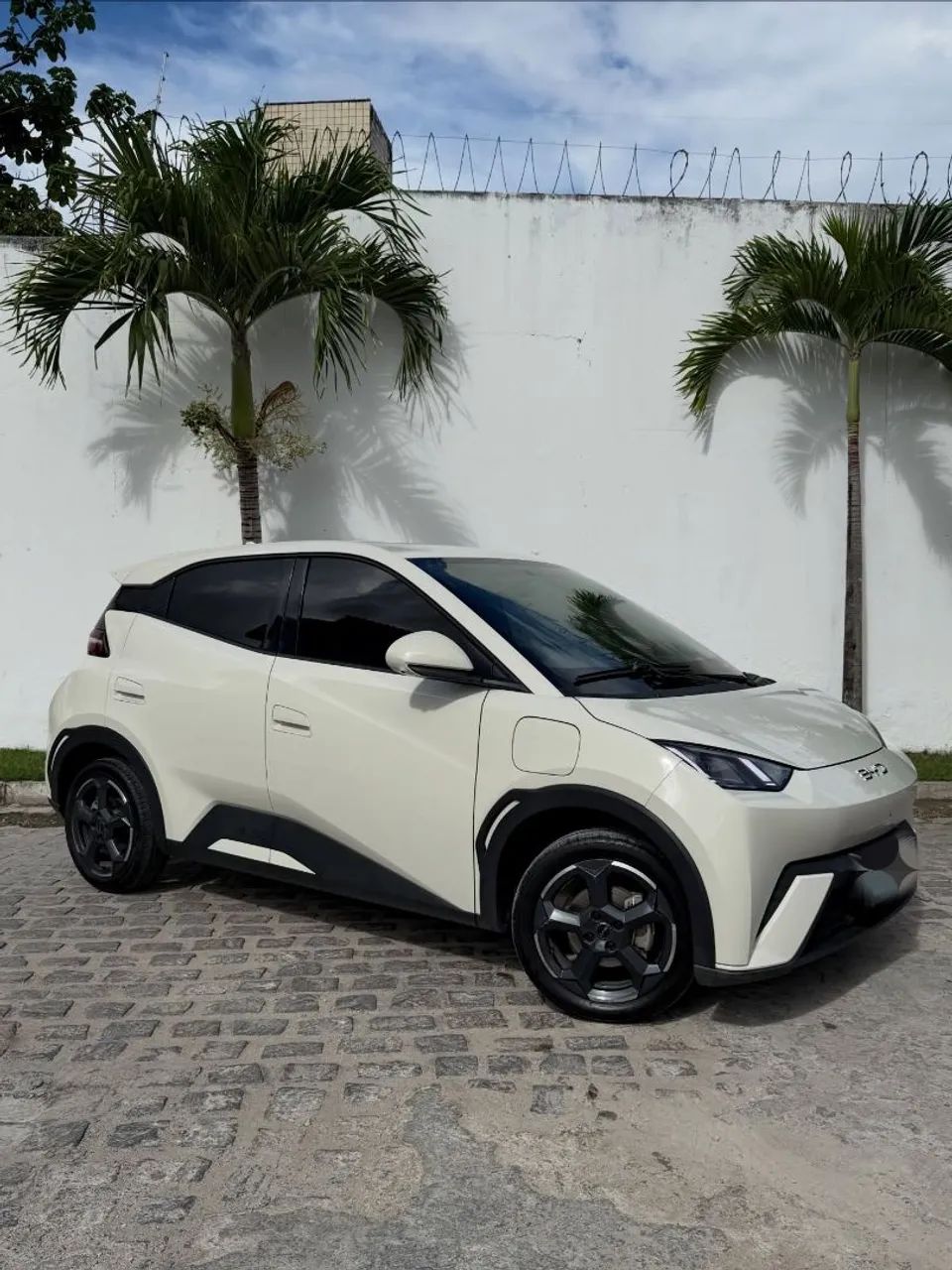 BYD Dolphin Mini (Elétrico) 2025