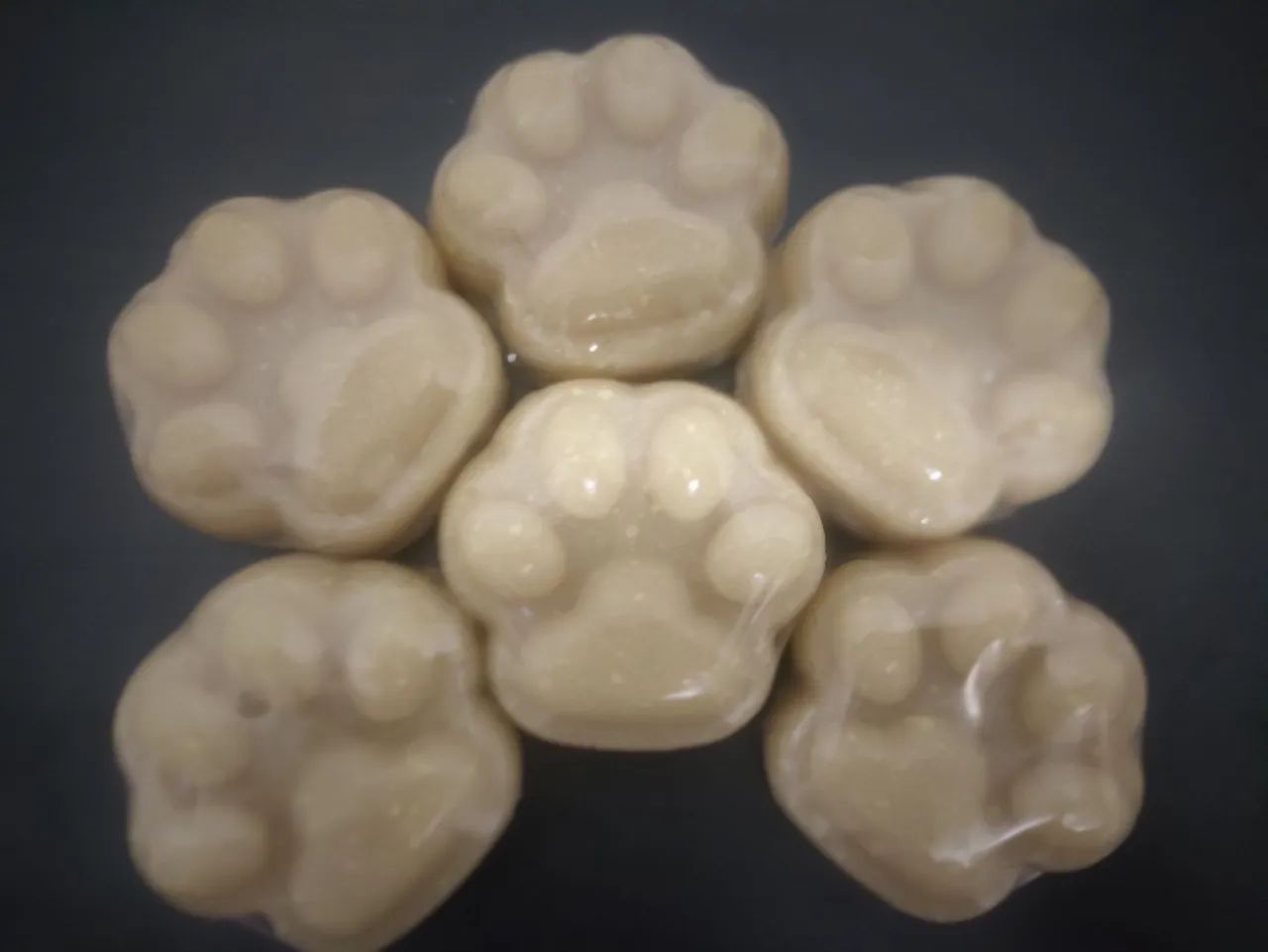 Pawstected dermo cosmético pet 