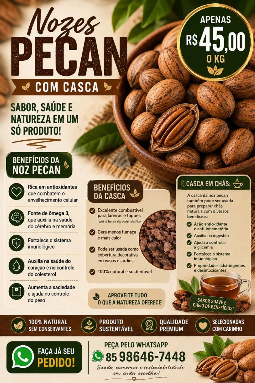 Nozes Pecan com Casca Selecionadas Premium 