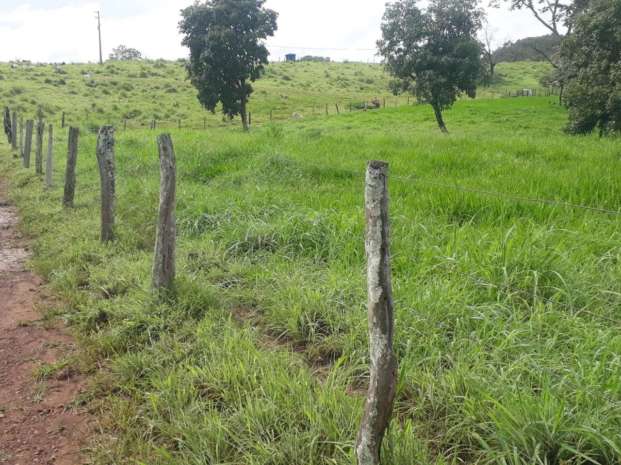 Fazenda a Venda Aparecida do Rio Negro - Foto 4