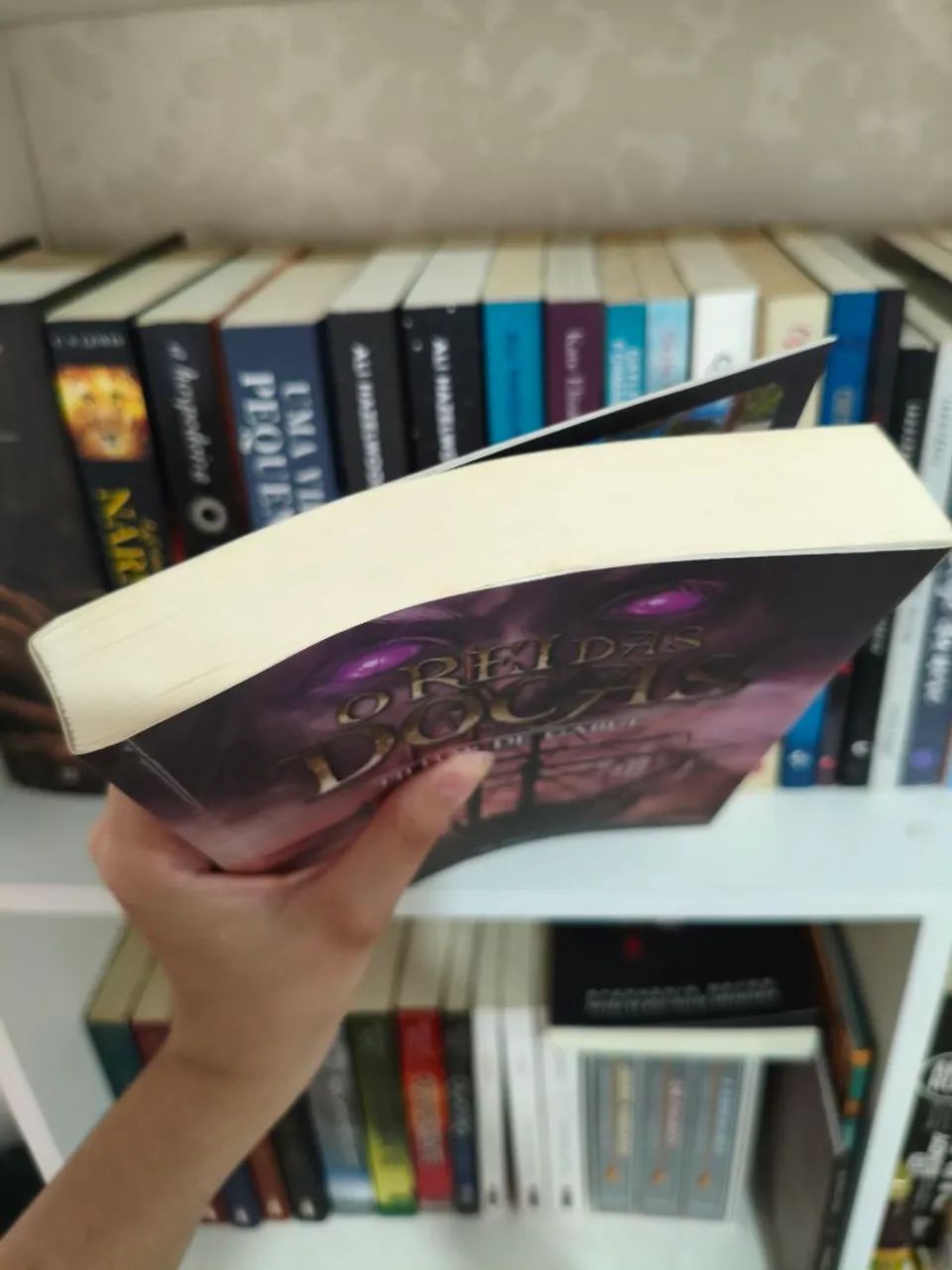 O rei das docas - Foto 4