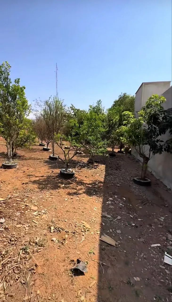 Casa 4Qts - Chácara em Bonfinópolis - Foto 4