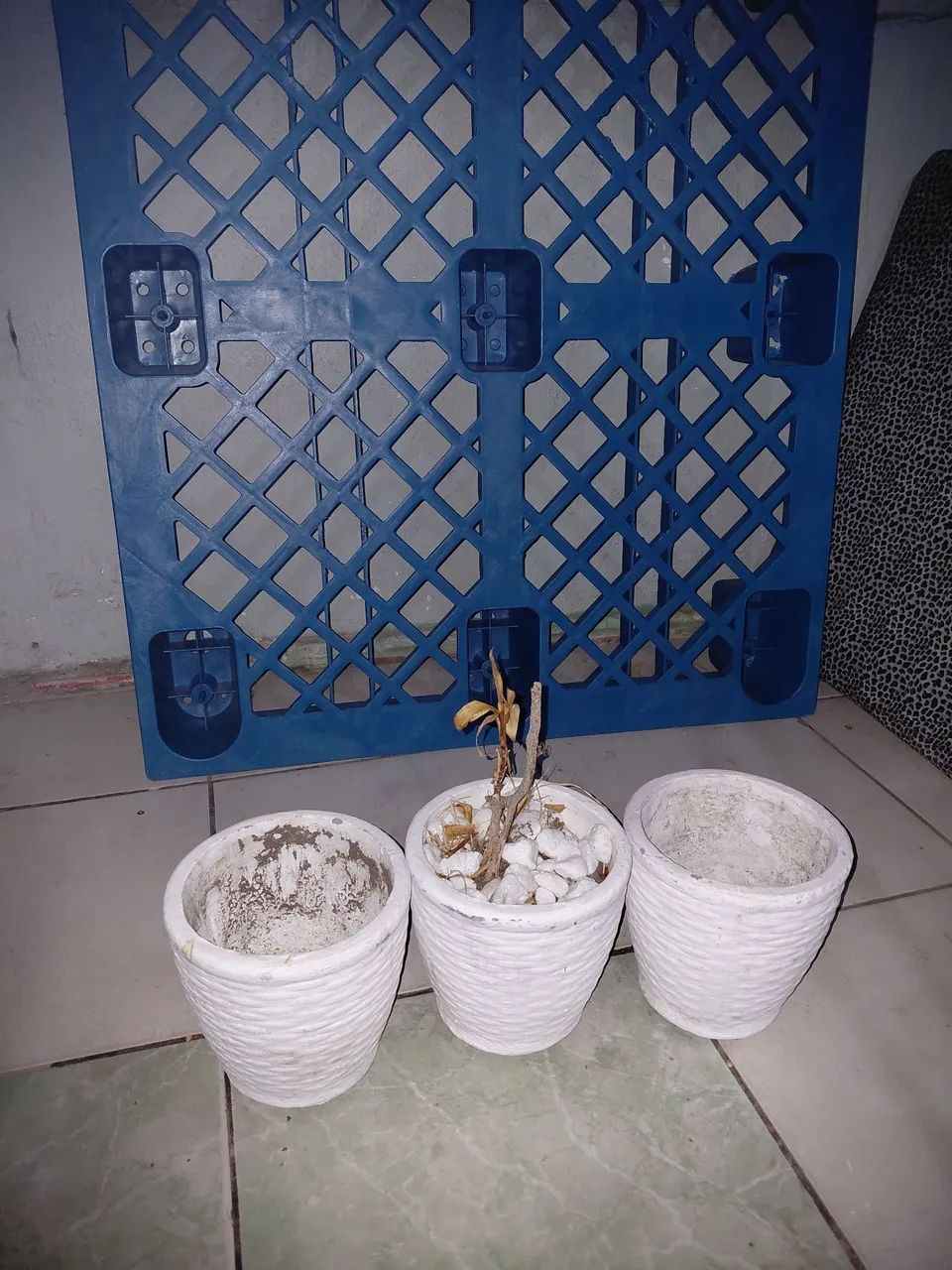 Vasos de planta 