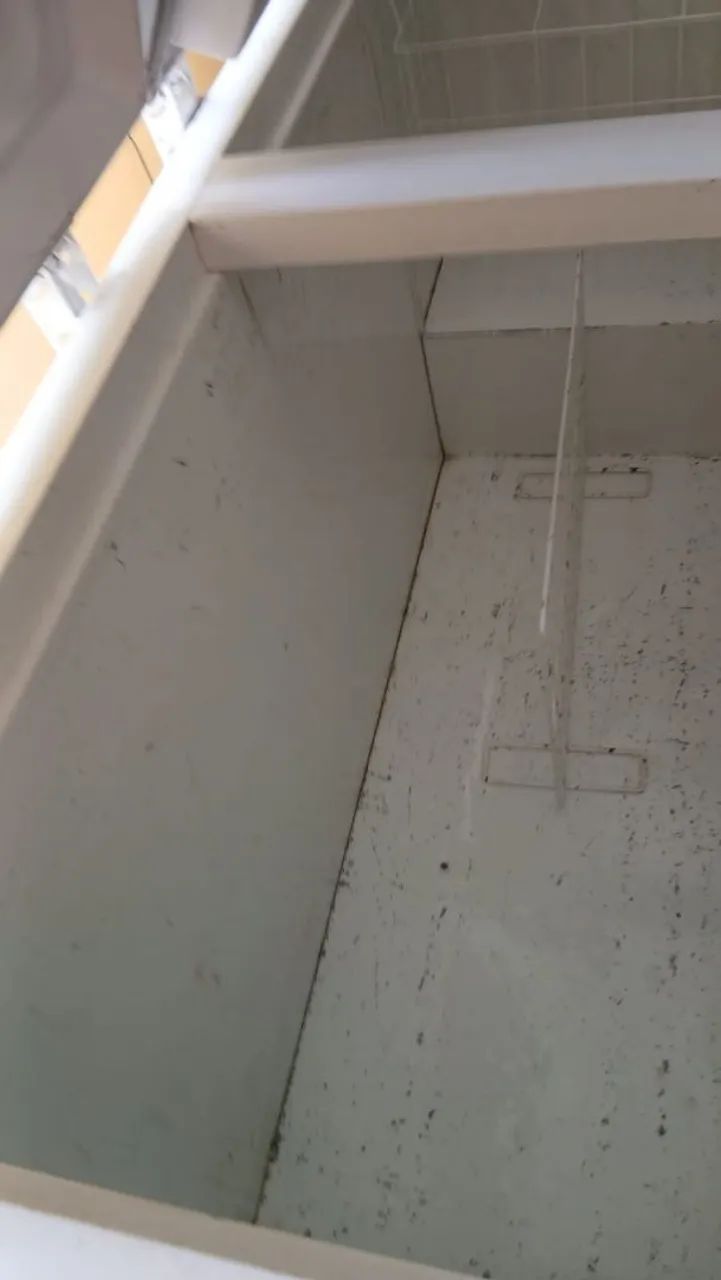 FREEZER HORIZONTAL FRICON - Foto 2