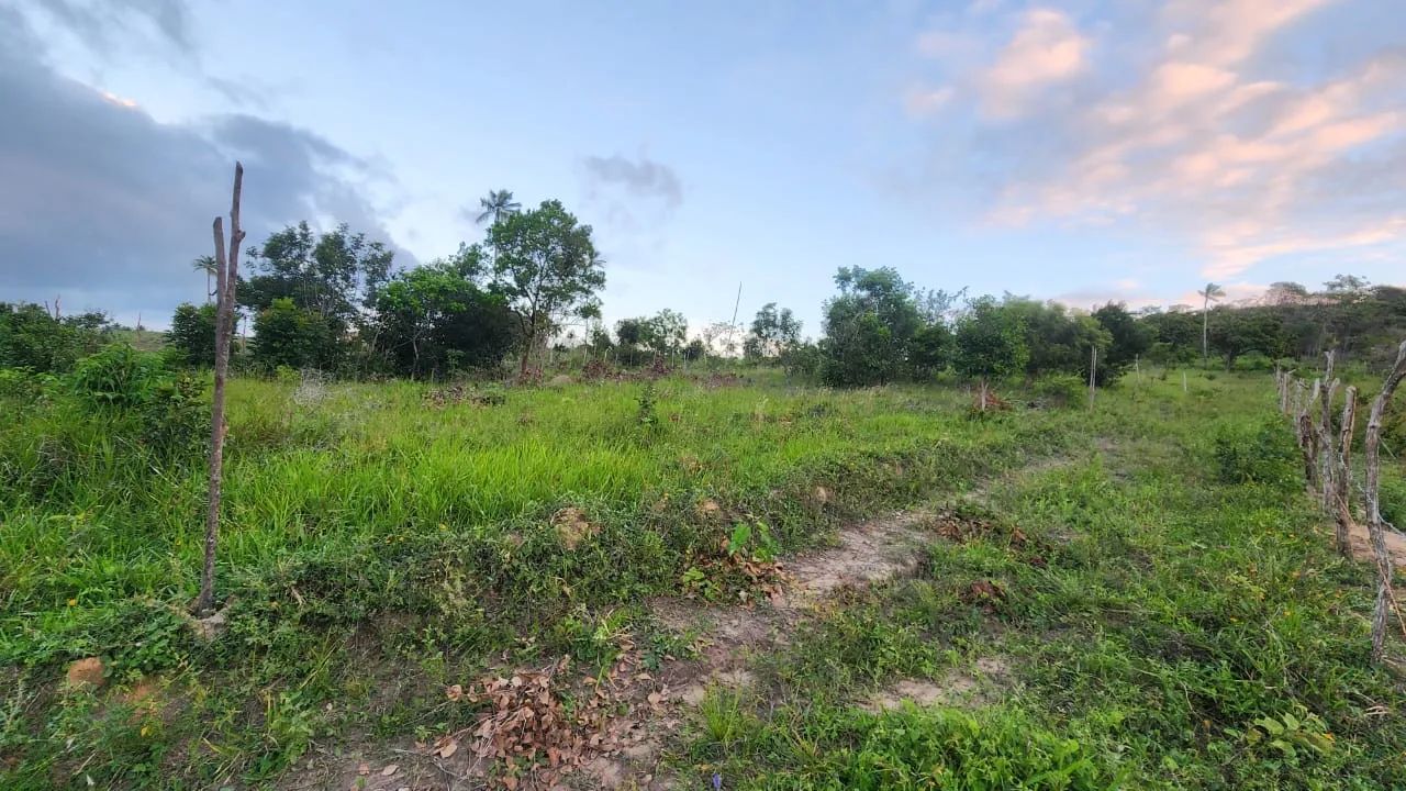 Vendo terrenos próximos a santo Amaro - Foto 5