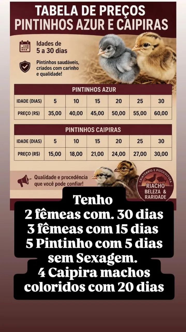 Aves disponíveis, azur e caipiras