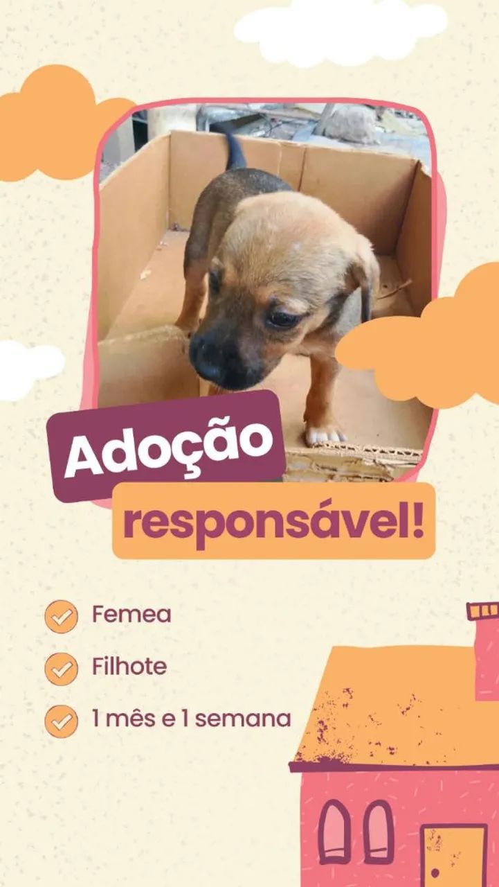 Filhotes para Adoção Responsável  - Foto 2