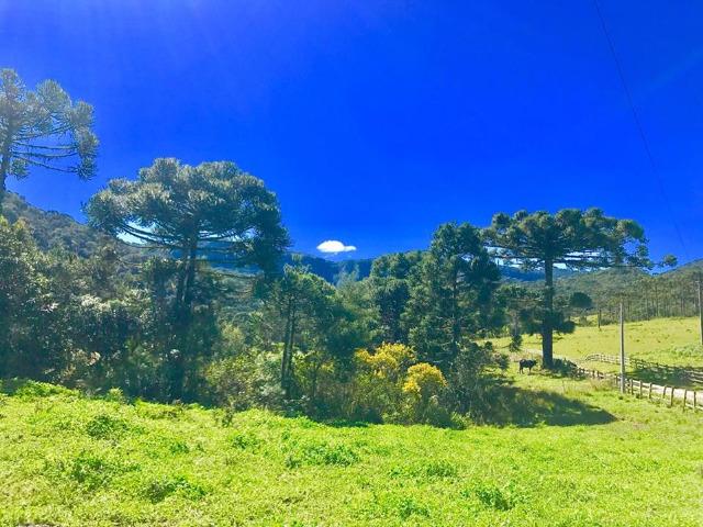 Chácara com rio em Urubici - Foto 9