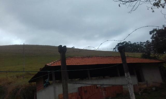 Sitio rico em água com cachoeiras, rios e lagos de piscina naturais, leia anúncio!!! - Foto 4