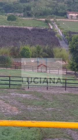Fazenda em Bonança com 20 hectares (Cód.: 123que) - Foto 8