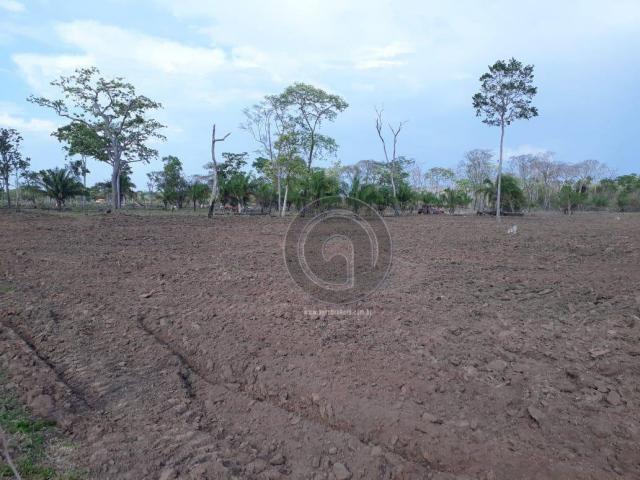 Sítio à venda na região de cáceres/mt - Foto 3