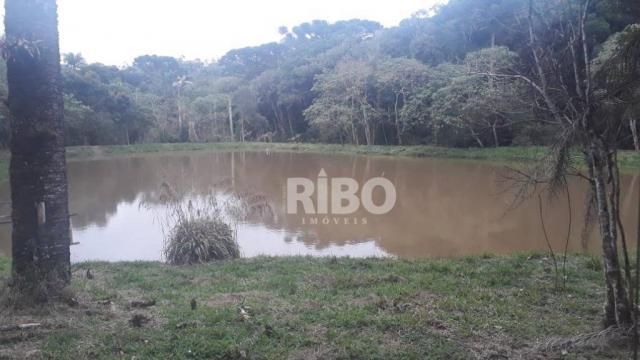 Excelente chácara com casa à venda - são josé dos pinhais!