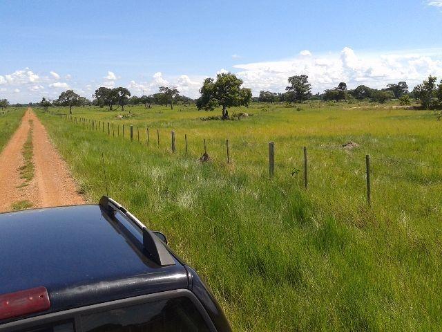 Fazenda c/ 3.540he c/ 2.840he aberto/formados, a 28km de Cuiabá-MT - Foto 9