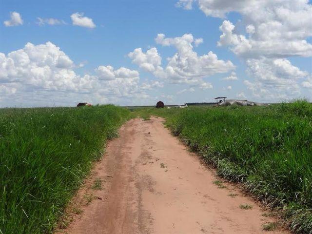 Fazenda c/ 7.180he c/ 80% formado, dupla aptidão, Ouro Branco-MT - Foto 7